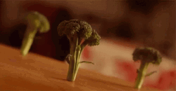 Broccoli Veggie Dance