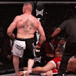 Brock Lesnar Furious Fight GIF
