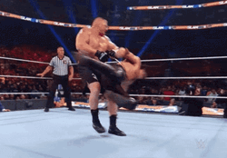 Brock Lesnar Seth Rollins GIF
