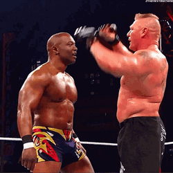 Brock Lesnar Vs Hunt GIF