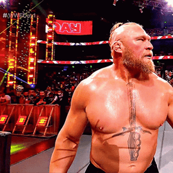 Brock Lesnar Vs Hunt GIF