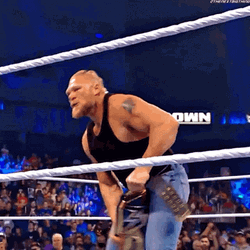 Brock Lesnar Vs Hunt GIF