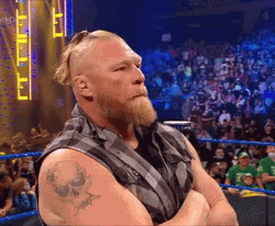 Brock Lesnar Vs Hunt GIF