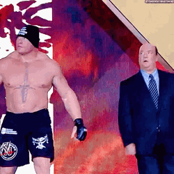 Brock Lesnar Vs Hunt GIF