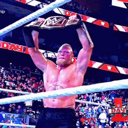 Brock Lesnar Vs Hunt GIF