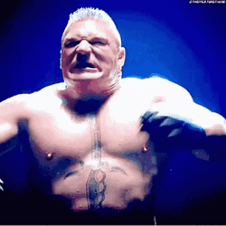 Brock Lesnar Vs Hunt GIF