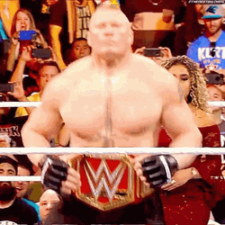 Brock Lesnar Vs Hunt GIF