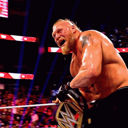 Brock Lesnar Vs Hunt GIF