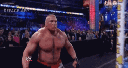 Brock Lesnar Vs Hunt GIF
