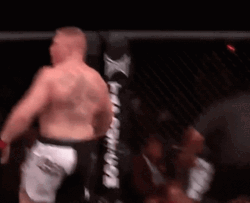 Brock Lesnar Vs Hunt GIF