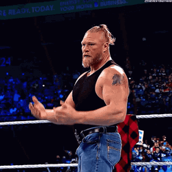 Brock Lesnar Vs Hunt GIF