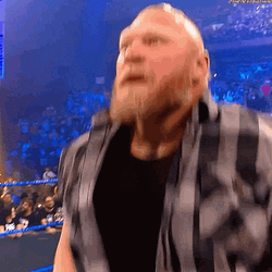 Brock Lesnar Vs Hunt GIF