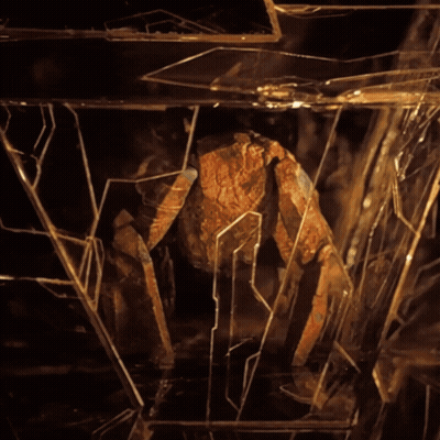 Broken Glass Resembling A Spider GIF