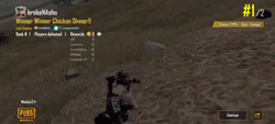BrokeNashu Winner Winner Chicken Dinner In Pubg GIF