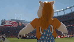 Broncos Mascot On High Spirit GIF