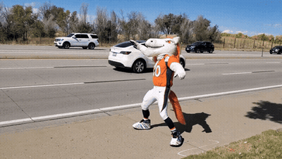 Broncos Mascot Wearing Number 10 Jersey GIF