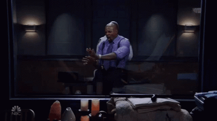 Brooklyn 99 Captain Holt And Terry GIF