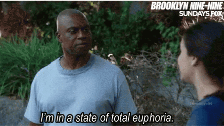 Brooklyn 99 Captain Ray In Total Euphoria GIF