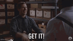 Brooklyn99 Get It GIF