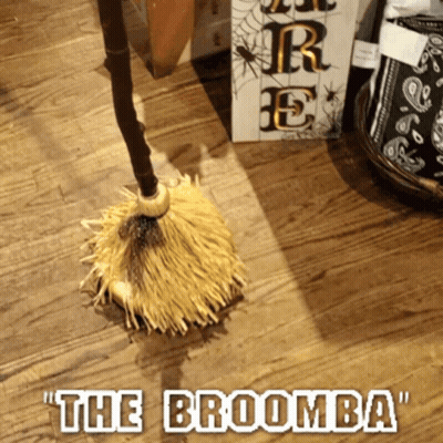 Broom With The Broomba Text GIF