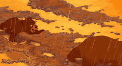 Brother Bear Koda Stomping GIF