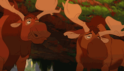 Brother Bear Nodding GIF