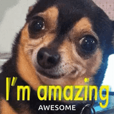 Brown And Black Dog I'm Amazing Awesome GIF