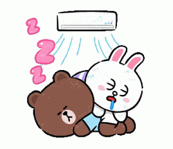 Brown And Cony Air Conditioning GIF