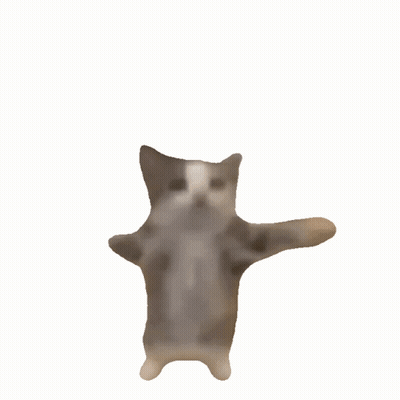 Brown And White Cat Floating In Air GIF
