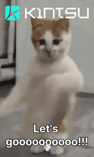 Brown And White Cat Standing Says Let's Gooooo GIF