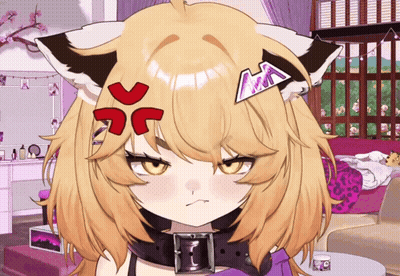 Brown And White Cat With Big Eyes Looking At Camera GIF