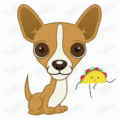 Brown And White Chihuahua With Taco On Head GIF