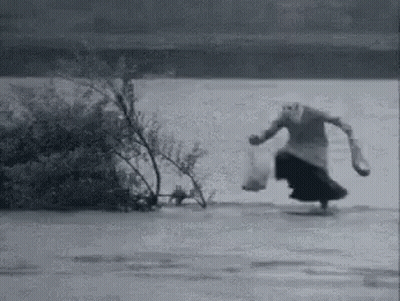 Brown And White Cow Saying Cow Out GIF