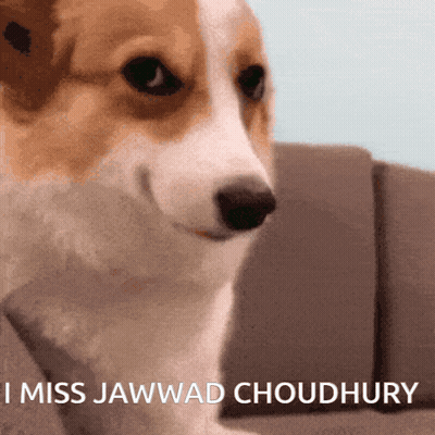 Brown And White Dog I Miss Jawwad Choudhury GIF