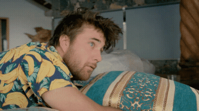 Brown And White Dog Laying On Bed GIF