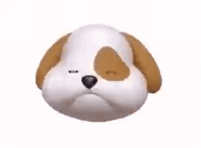 Brown And White Dog Making Funny Face GIF