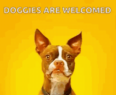 Brown And White Dog Smiling Doggies Are Welcomed GIF