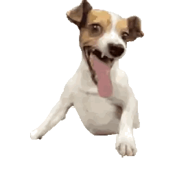 Brown And White Dog Smiling Sticker
