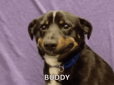 Brown And White Dog Smiling With Tears GIF