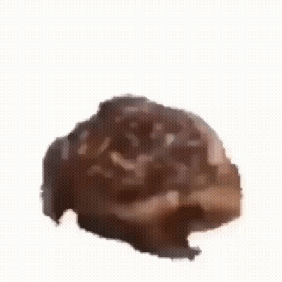 Brown Animal Head GIF