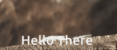 Brown Background Saying Hello There GIF