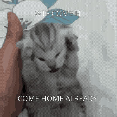 Brown Bear And White Rabbit Come Home Now GIF