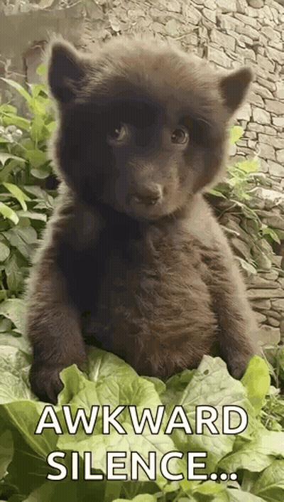 Brown Bear Cub Sitting On Lettuce Awkward Silence GIF