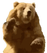 Brown Bear Giving High Five Sticker