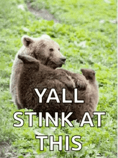 Brown Bear Holding Baby Bear Yall Stink At This GIF