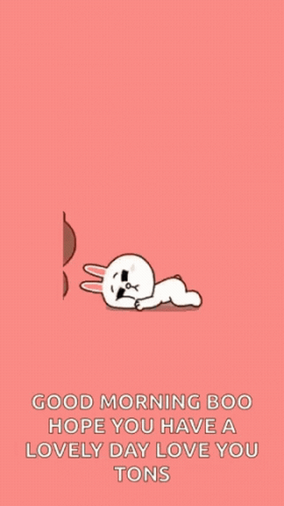 Brown Bear Hugging White Rabbit GIF