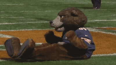 Brown Bear Mascot In Blue Shirt Saying UC GIF