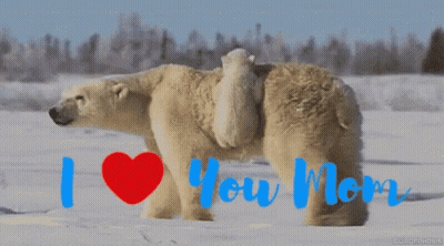 Brown Bear Next To White Rabbit Saying Issues GIF