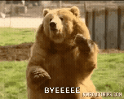 Brown Bear Saying Bye GIF
