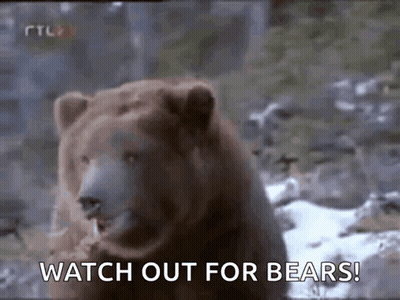 Brown Bear Saying Watch Out GIF